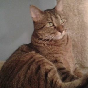 Meet your Posher, Beth